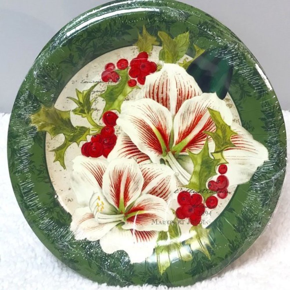 C.R. Gibson Christmas "Winter Joy" Coated Dinner Plates.